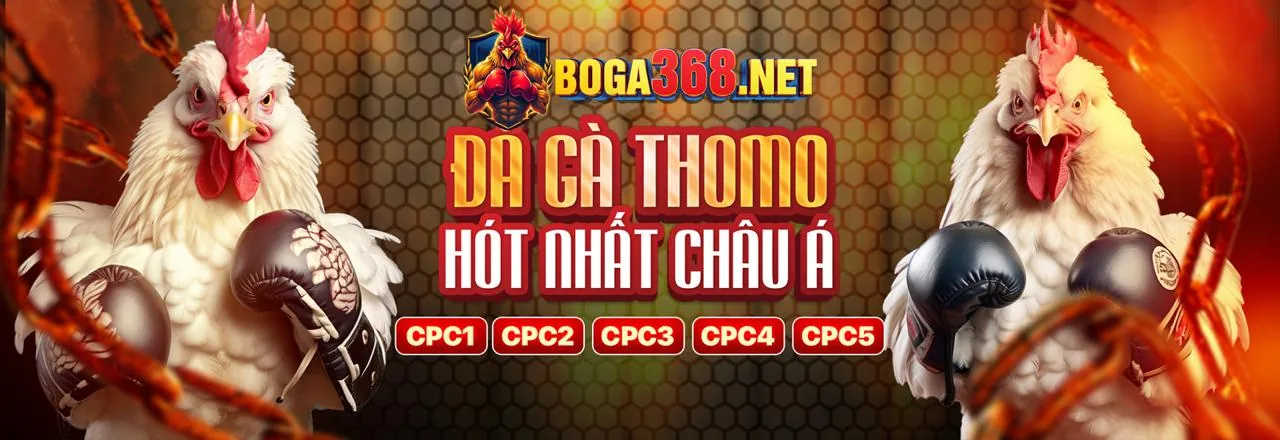 Đá Gà Cựa Dao RV66